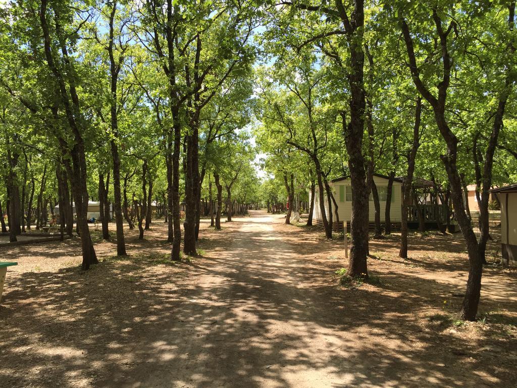 Domaine Les Chenes Blancs Hotel Saint-Saturnin-d'Apt Bagian luar foto