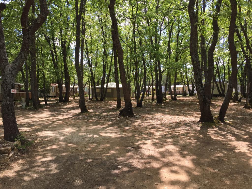 Domaine Les Chenes Blancs Hotel Saint-Saturnin-d'Apt Bagian luar foto