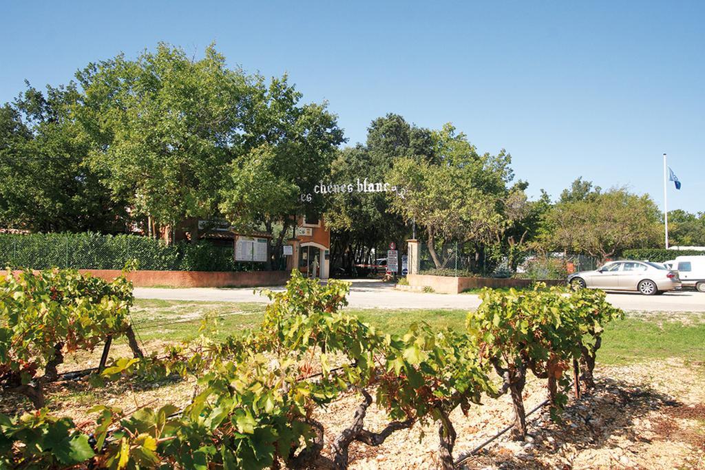 Domaine Les Chenes Blancs Hotel Saint-Saturnin-d'Apt Bagian luar foto
